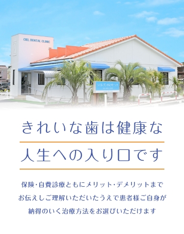 歯は、健康な人生への入り口です